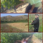 penteridis-feautred2